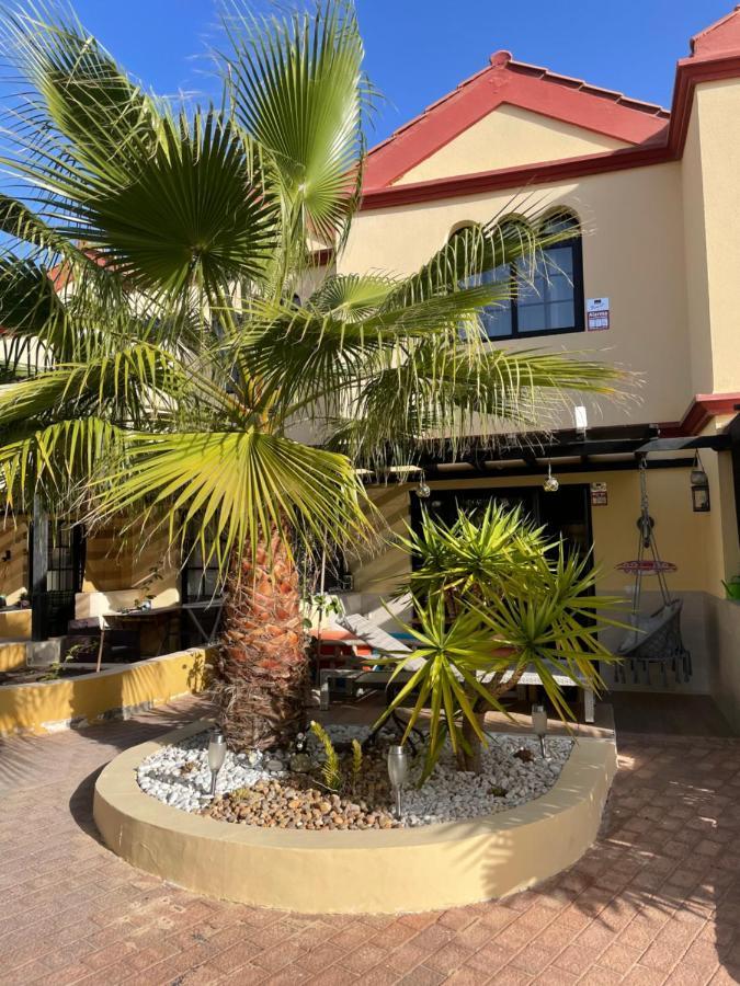 Appartement Agpi Fuerteventura Internet Fibra Wifi Gratis Costa Calma